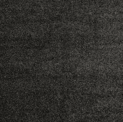 Black Carpet (1.50 PSF)